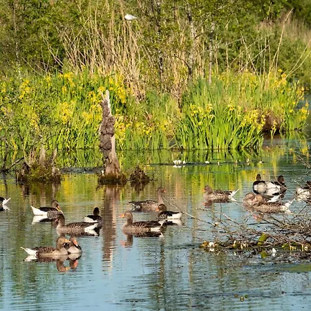 Apartament Golden Eye Seaside Park Kołobrzeg
