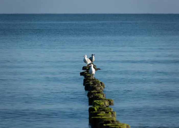 Golden Eye Seaside Park
