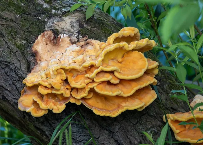 Apartament Golden Eye Seaside Park