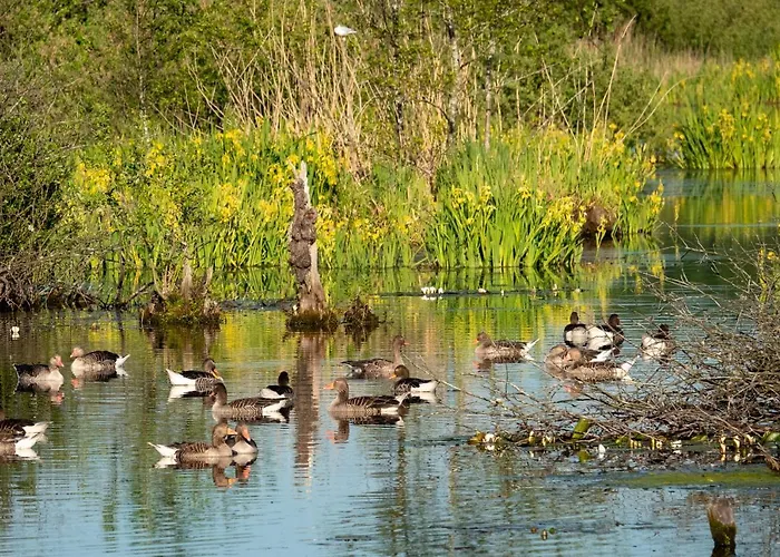 Apartament Golden Eye Seaside Park Kołobrzeg