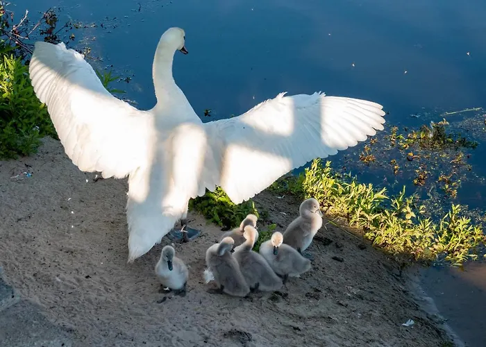 Apartament Golden Eye Seaside Park *